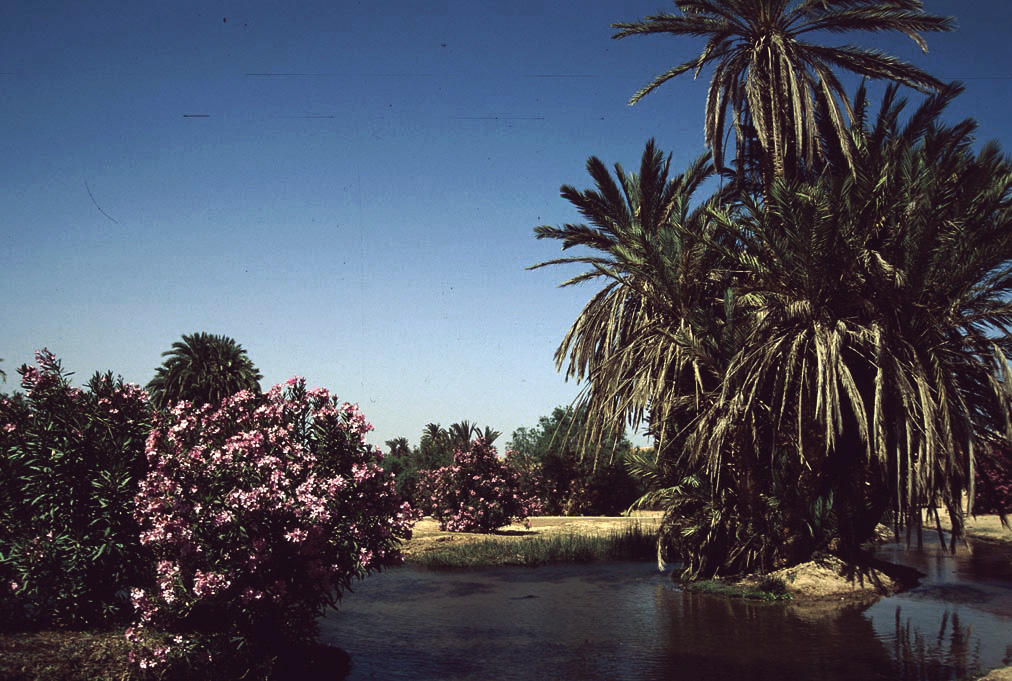 kampala park